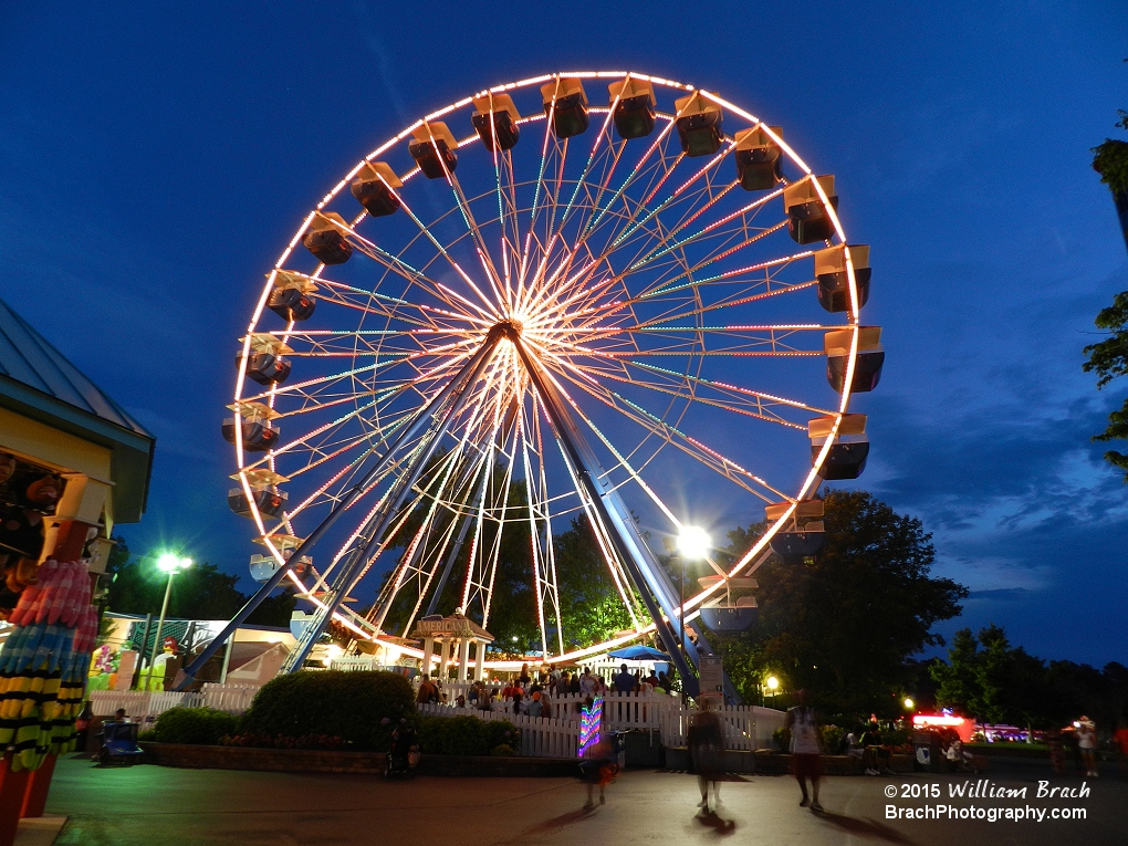 Night view of the ferris wheel.