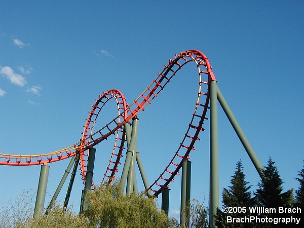 Anaconda's vertical loop and immelman loop.