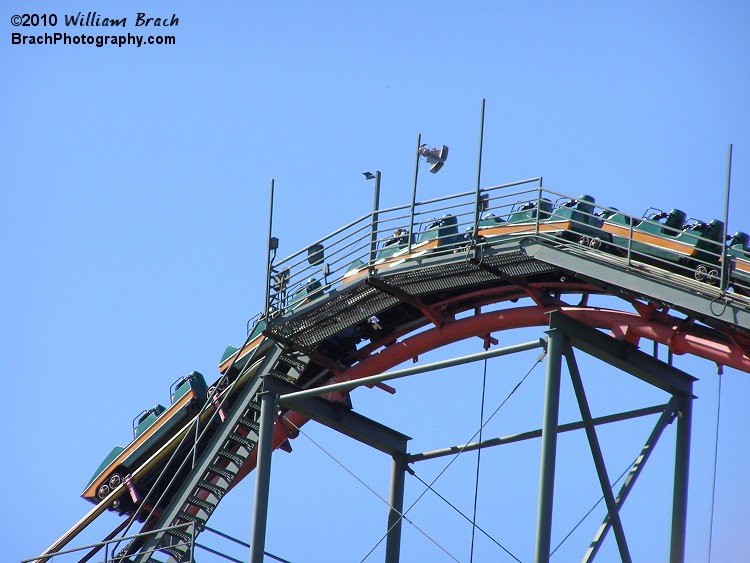 Anaconda train cresting the lift hill.