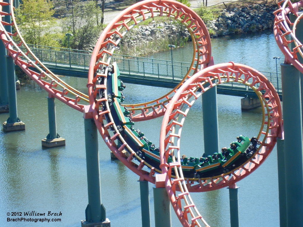 Anaconda train going through the Cobra Roll element just prior to the brake run on Opening Day 2012.