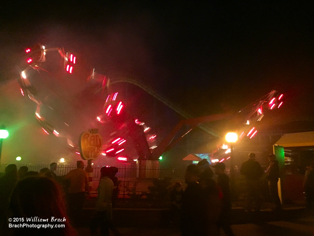 Bad Apple in motion during Halloween Haunt 2015.