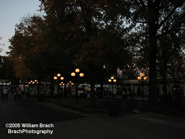 The Grove area at Kings Dominion.