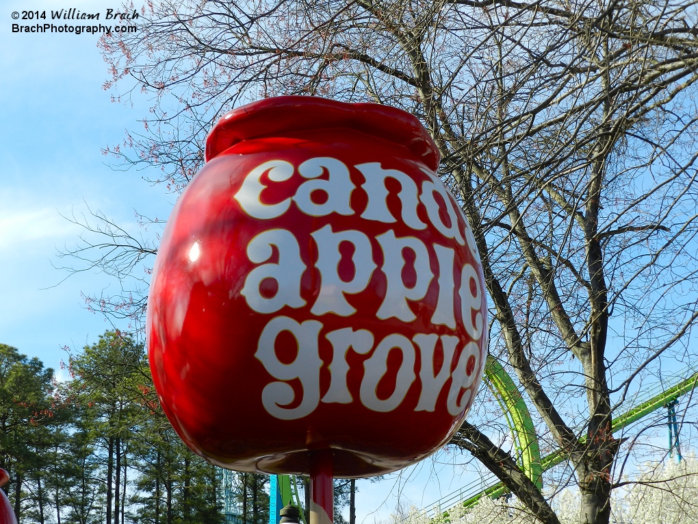 Taking a closer look at one of the huge Candy Apples.