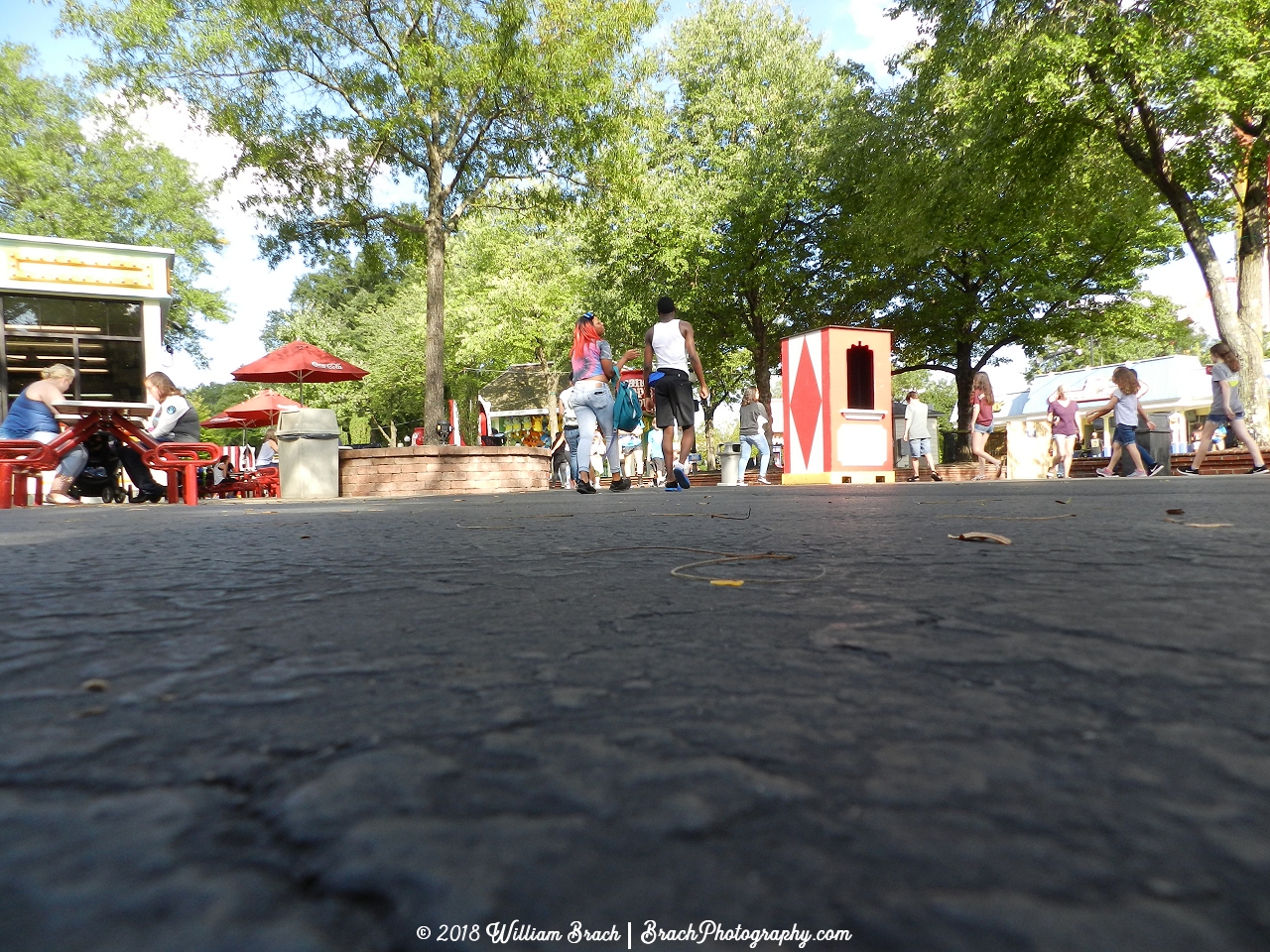 A grounded view of the Grove looking in towards the Cleaver Brother's Carnival.