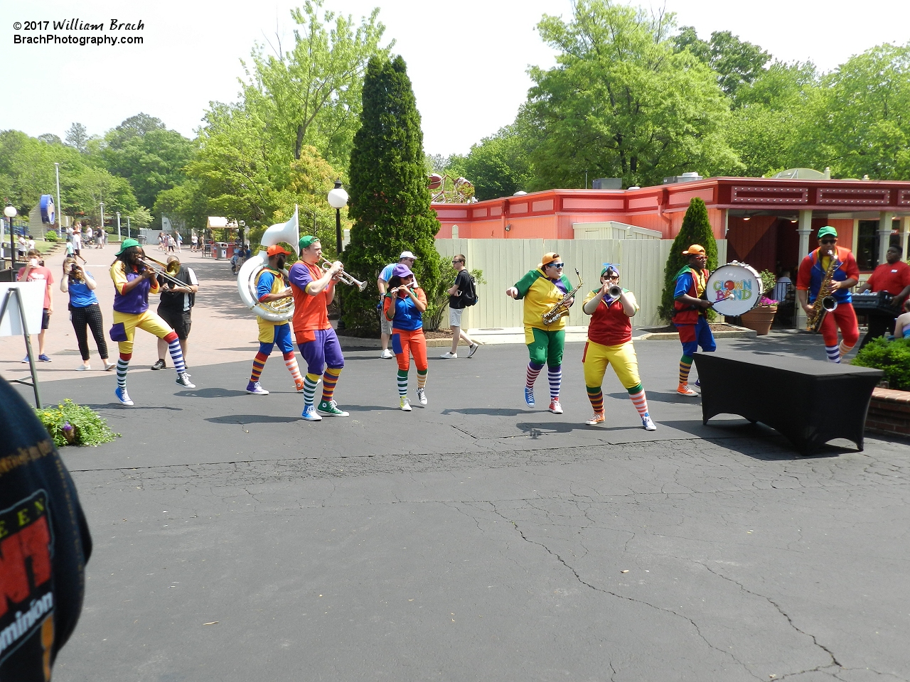 Time to dance to the crazy tunes of the Clown Band!