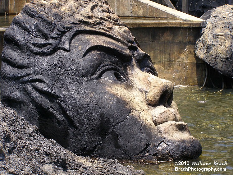 The broken statue face in the water.