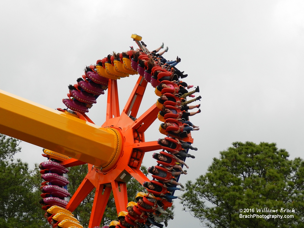 Delirium spinning its riders.