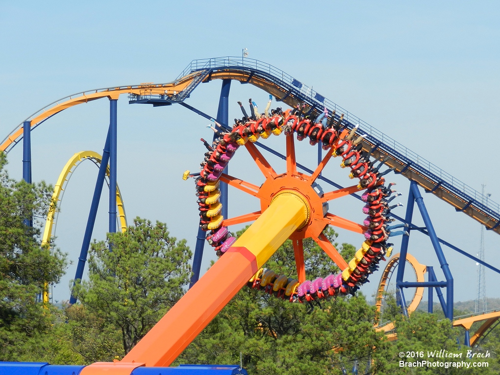 Delirium swinging more riders with Dominator in the background.