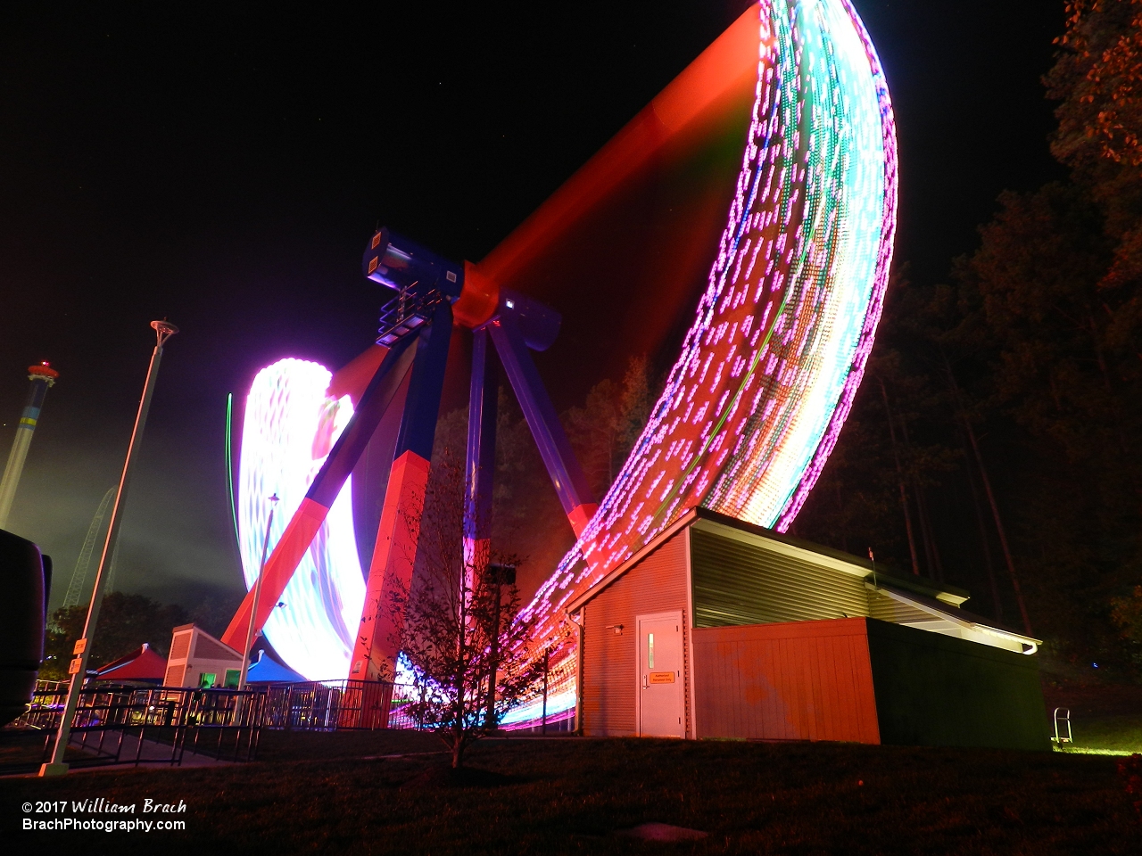 Delirium running at night with the lights on.