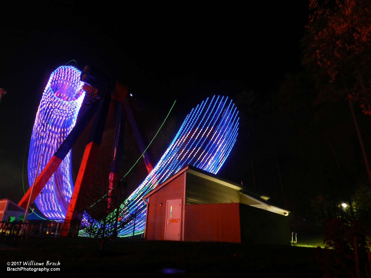 Delirium running at night with the lights on.