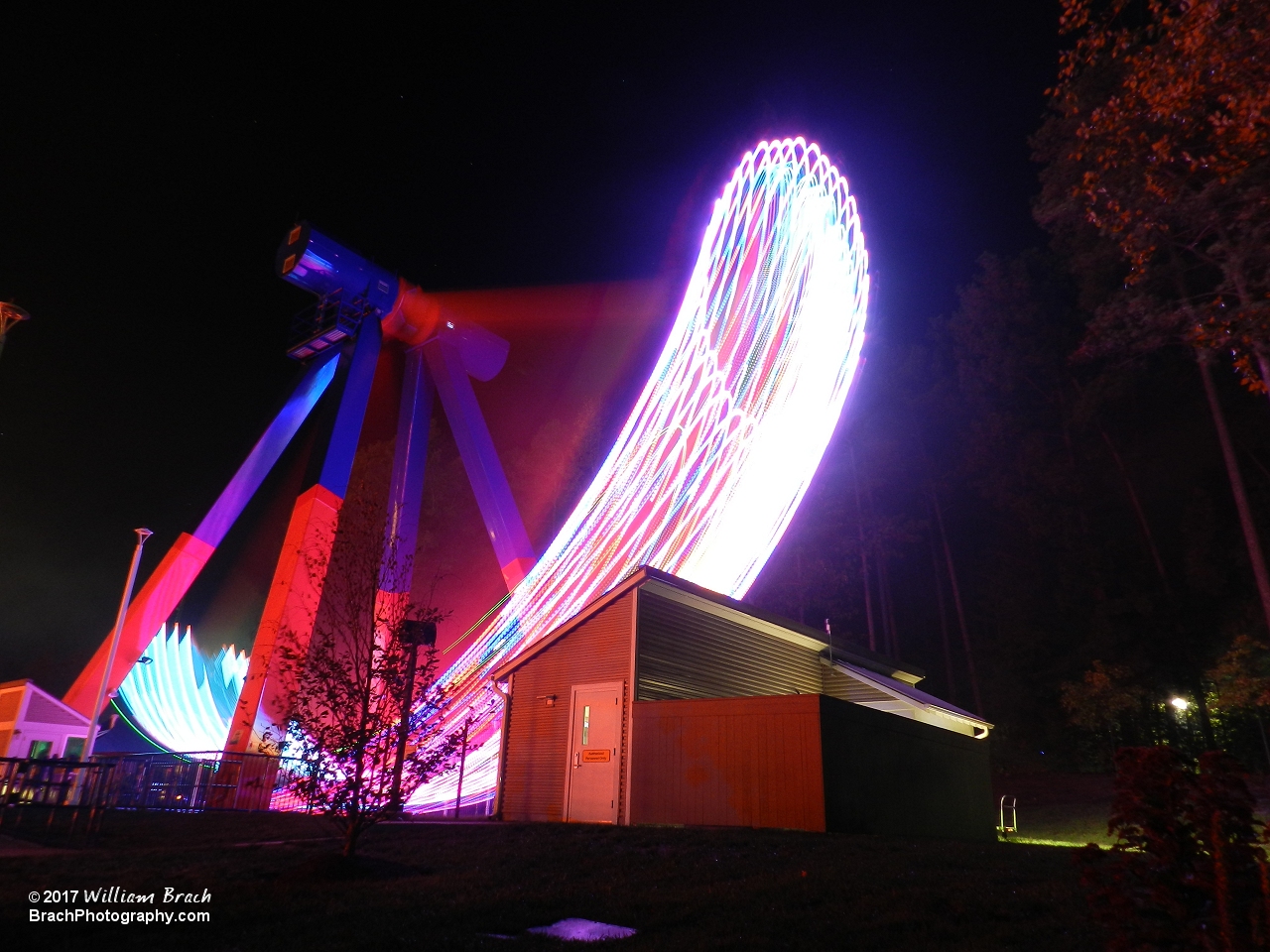 Delirium running at night with the lights on.