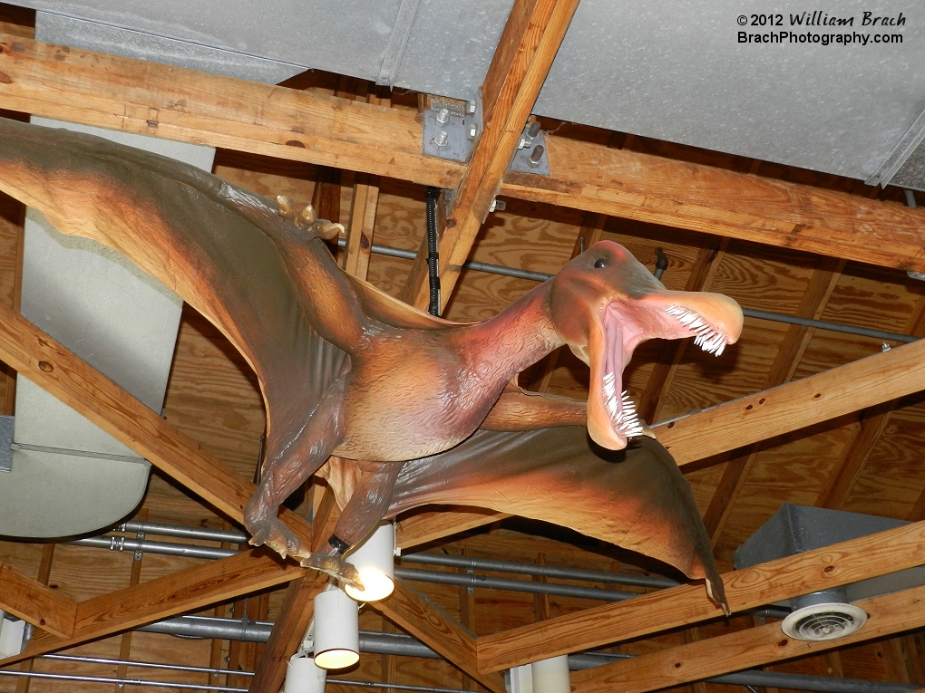 Inside the Dinosaurs Alive gift shop that was once the Grizzly Arcade building.