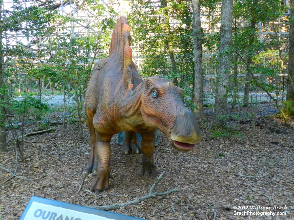 More of the Dinosaurs Alive exhibit at Kings Dominion.