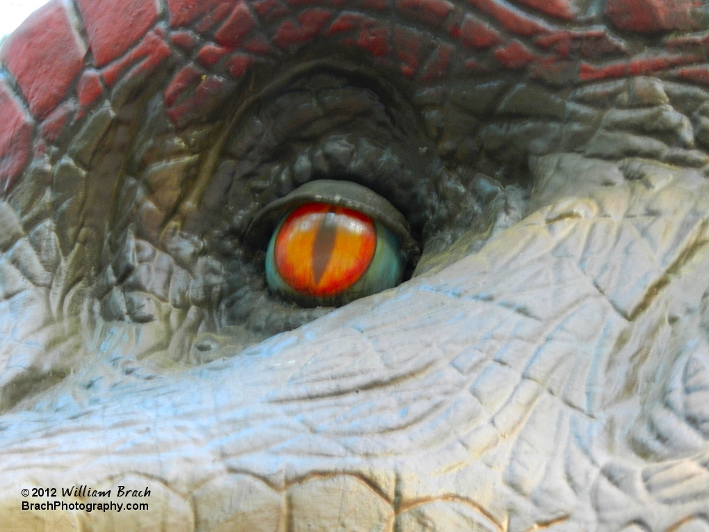 That dinosaur has its eye on you....