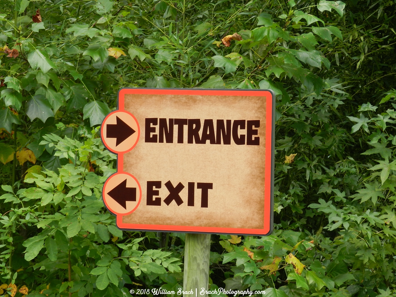 Dinosaurs Alive has only one main entry and exit.  This sign should help clear things up.