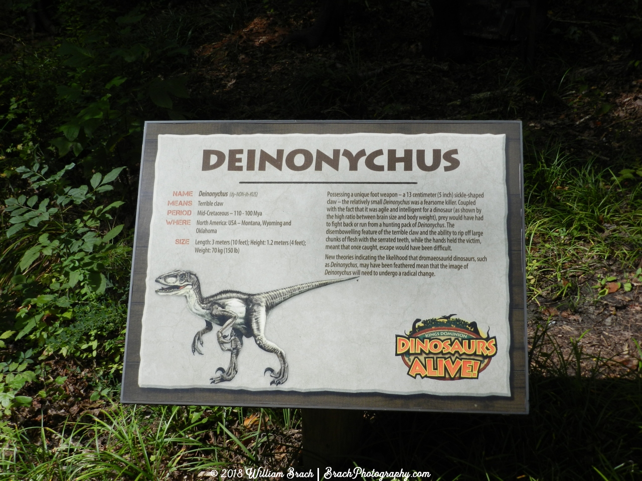 Description sign for the Deinonychus.