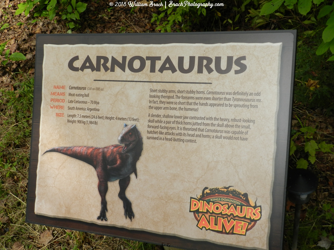 Info sign on the Carnotaurus.