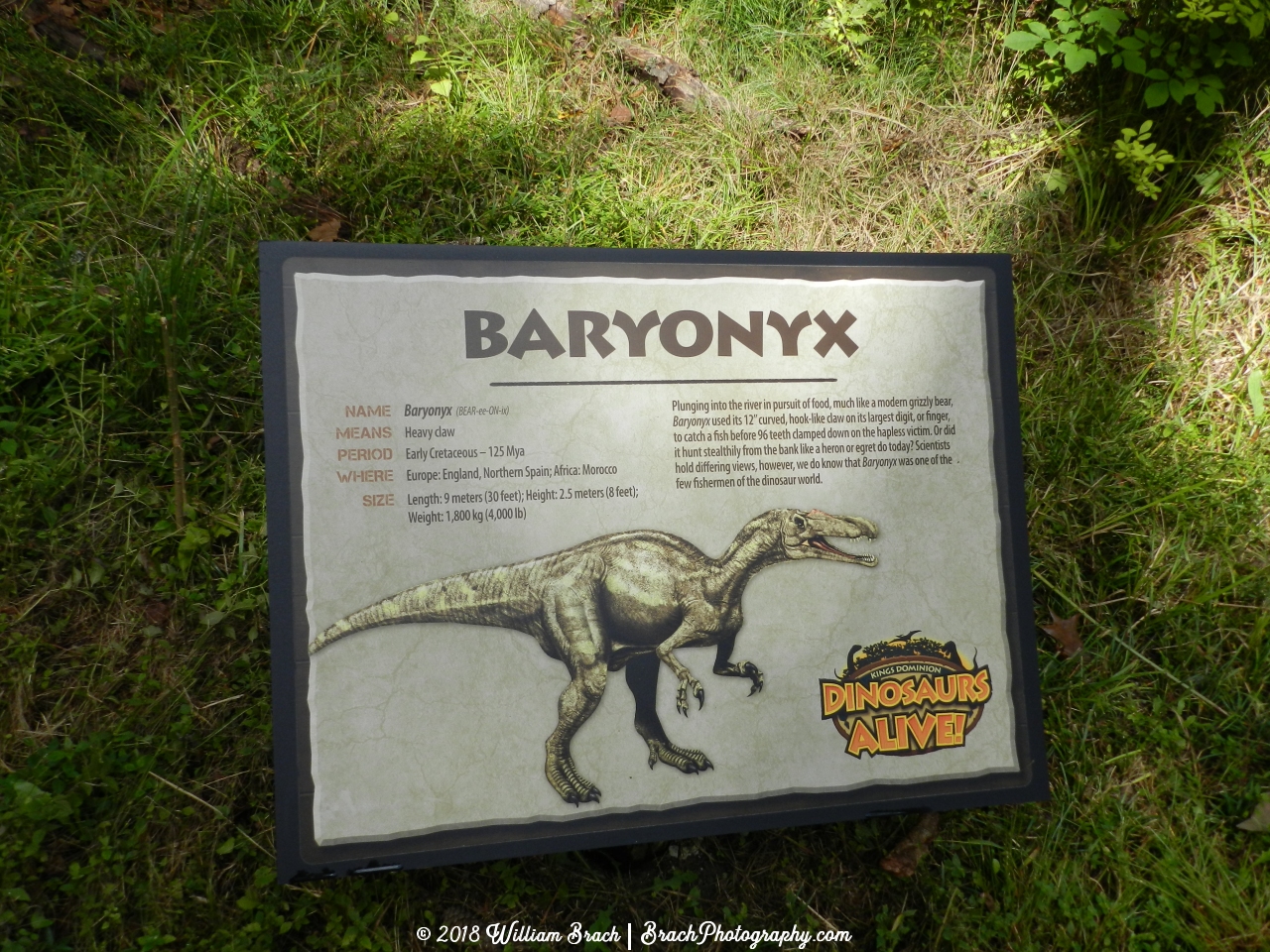 Info sign for the Baryonyx.