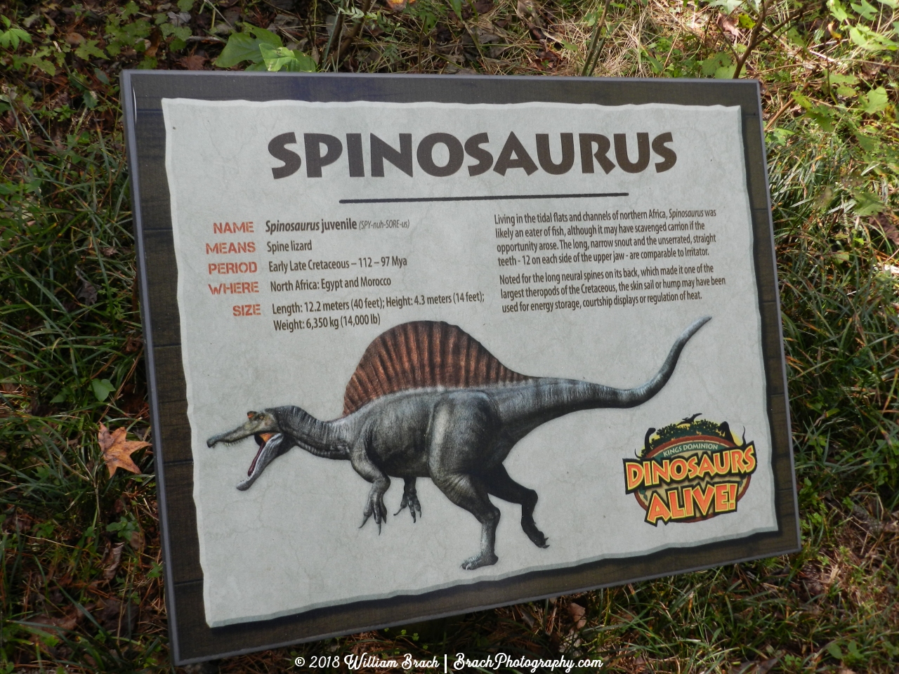 Info sign on the Spinosaurus.