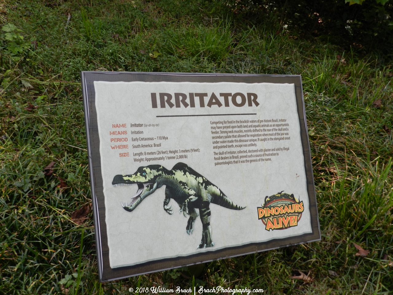 Info sign for the Irritator.