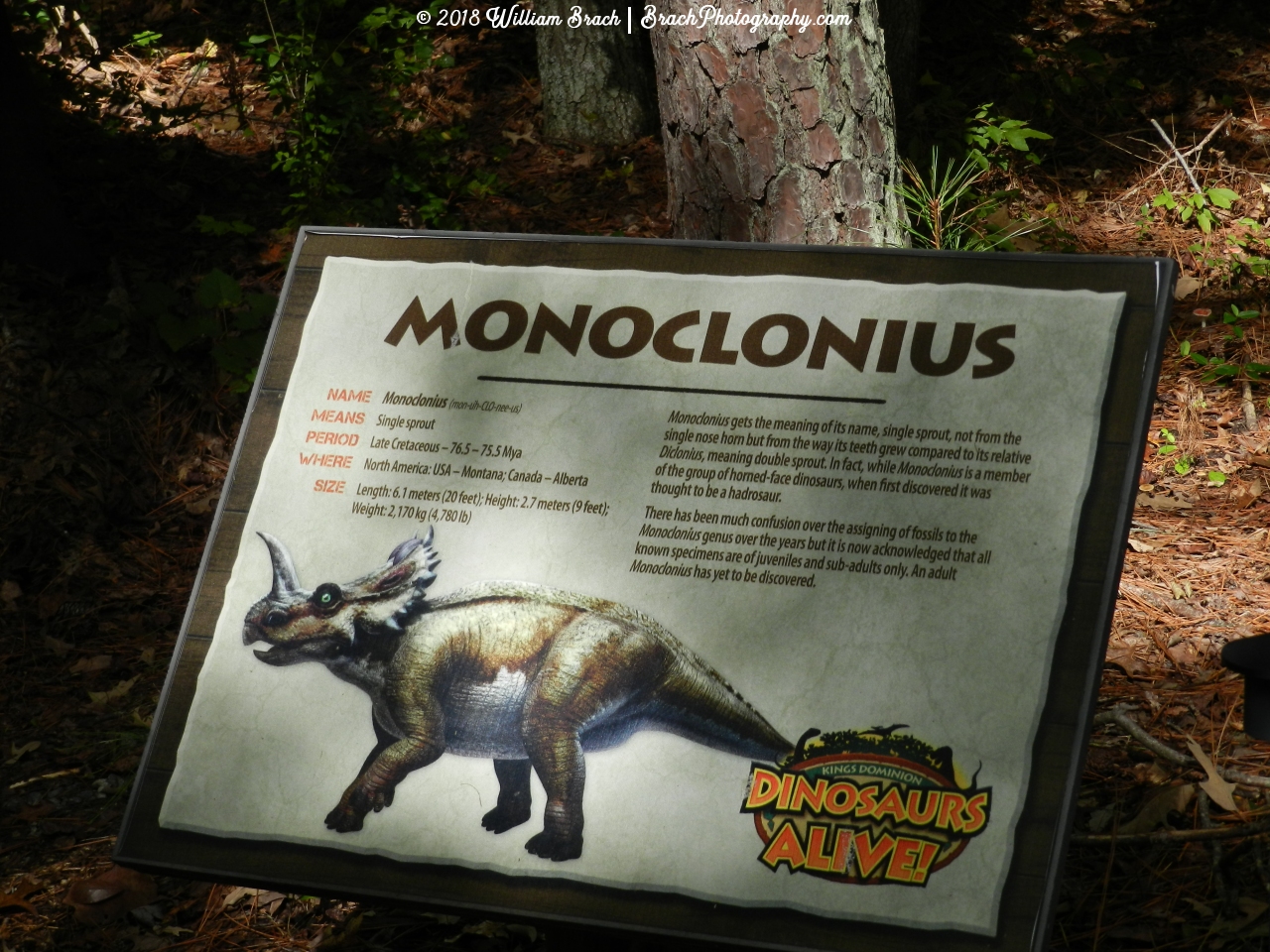 Info sign for the Monoclonius.