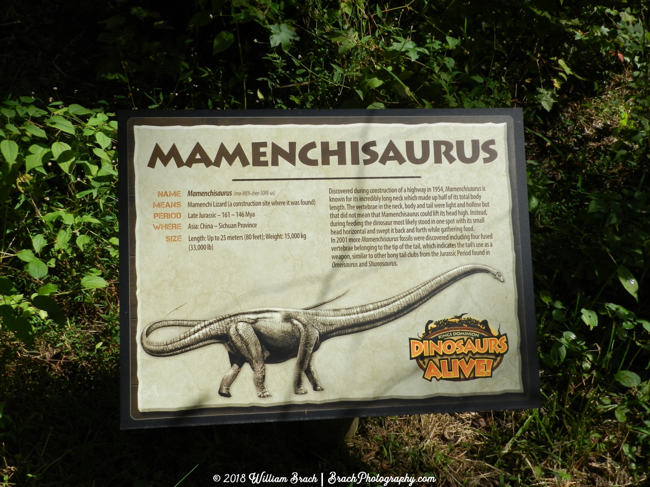 Info sign on the Mamenchisaurus.