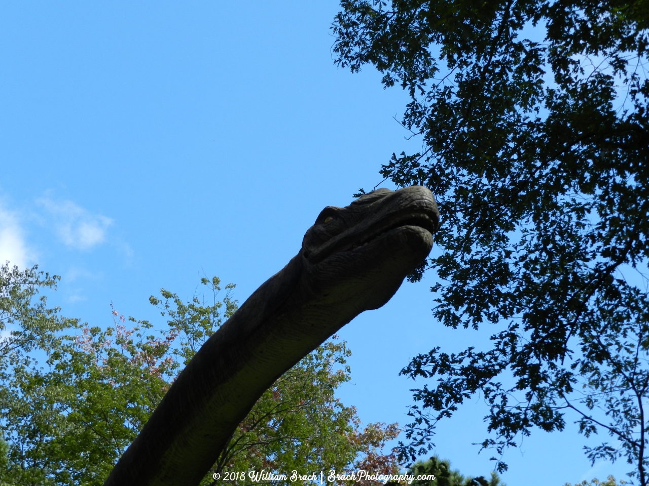 Tall creature that was able to stand and be as tall as the trees.