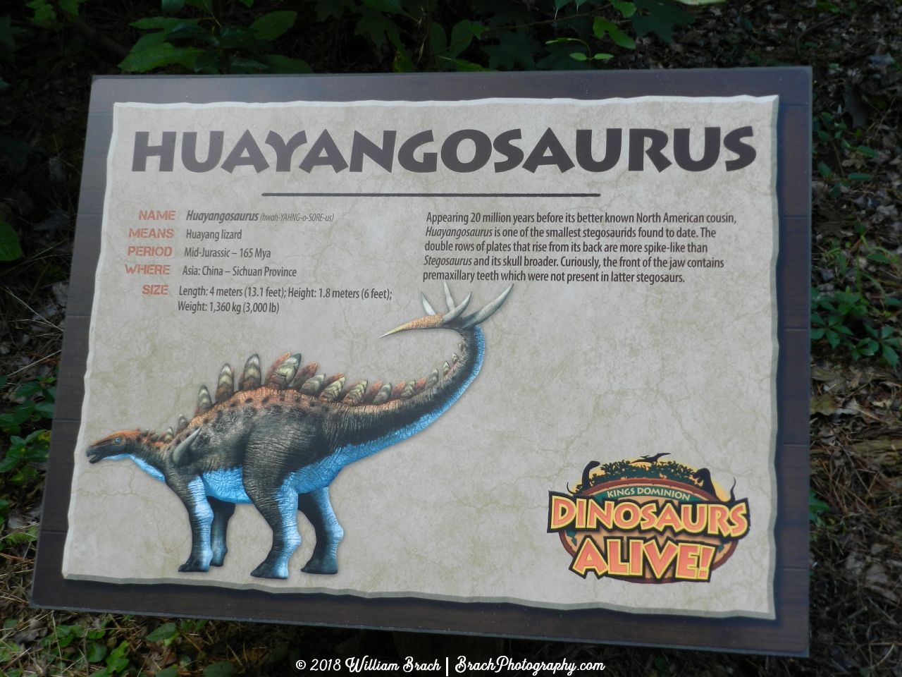 Info sign on the Huayangosaurus.