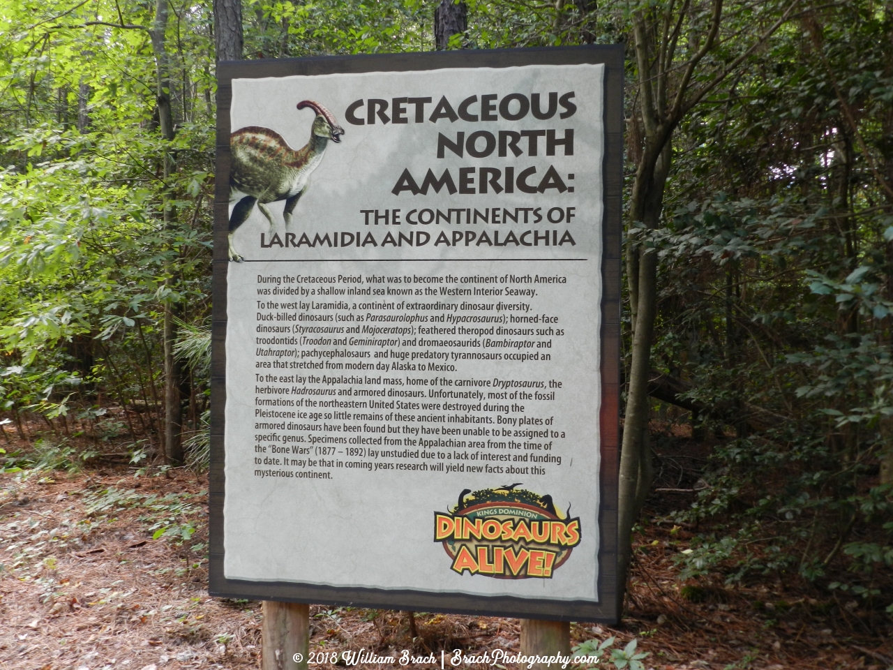 The Cretaceous period info sign.