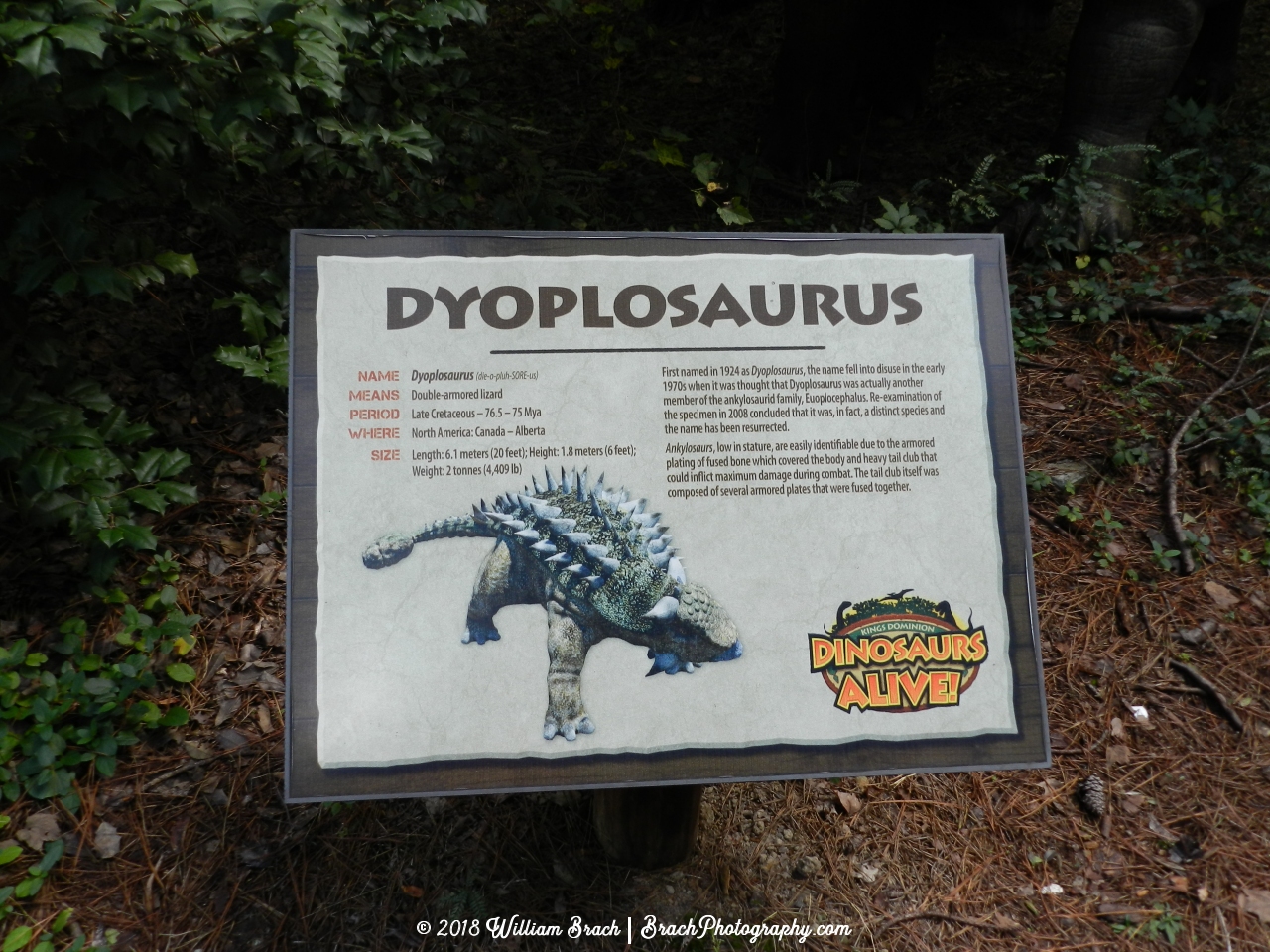 Info sign on the Dyoplosaurus.