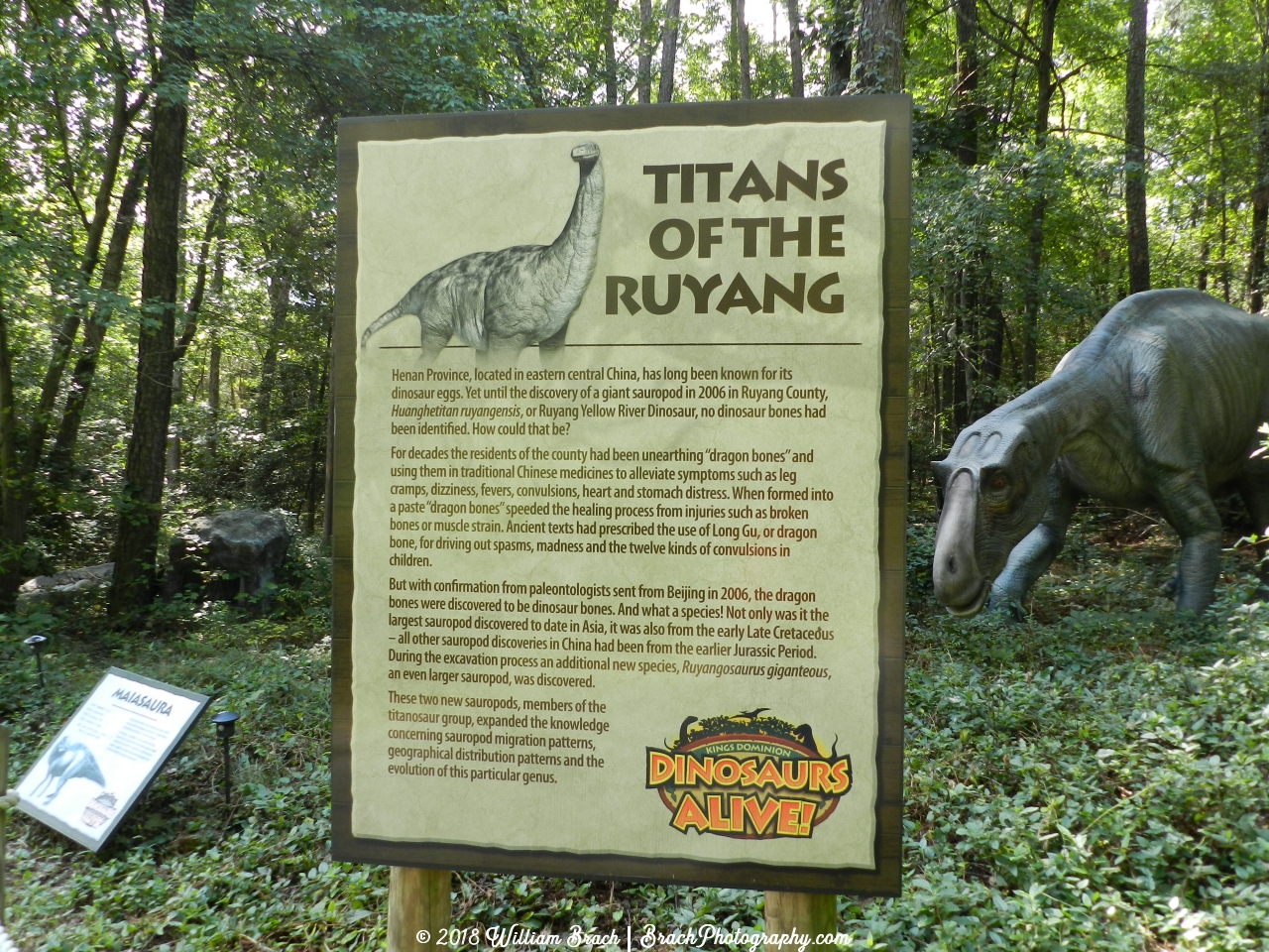 Information on the Titans of the Ruyang.