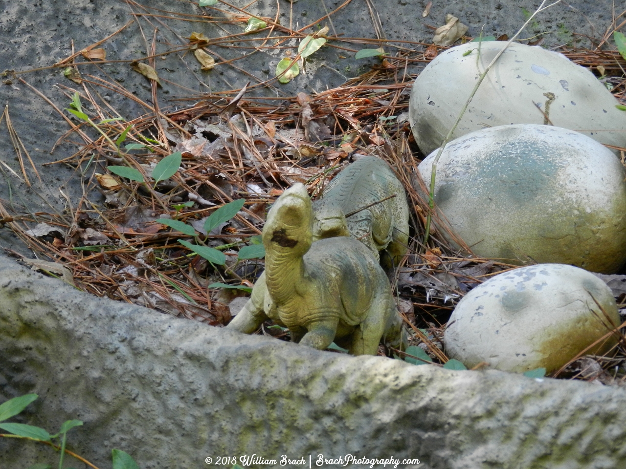 Baby Maiasaura that have just hatched out of their eggs beginning to explore their world.