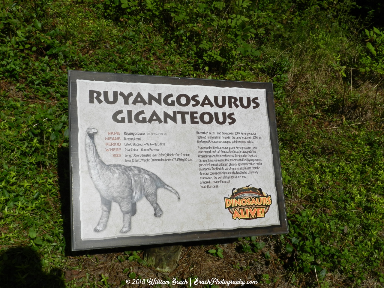 Info sign on the Ruyangosaurus Giganteous.