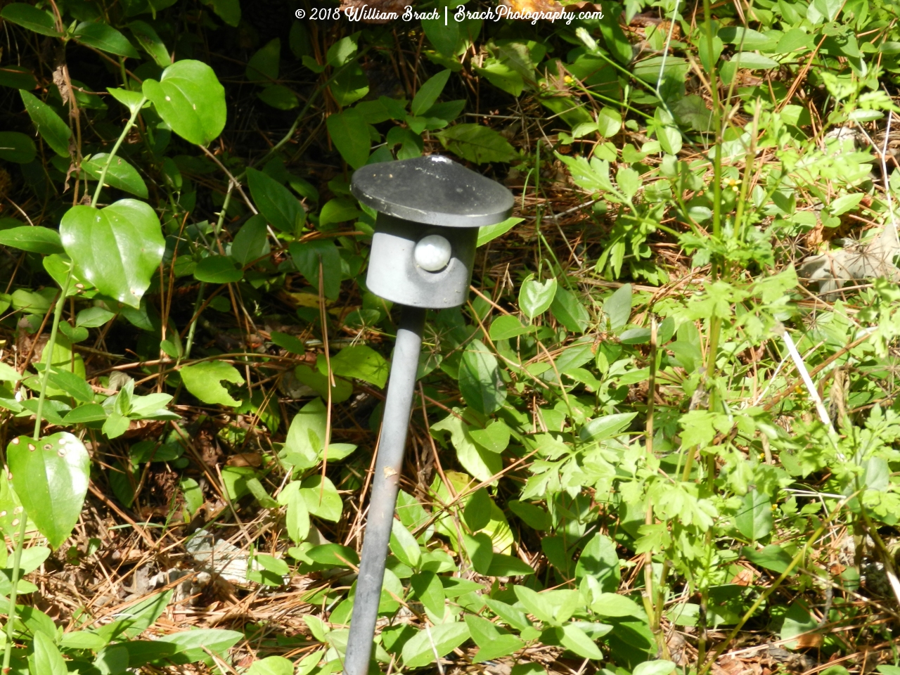 These motion sensors doo-hickys were placed throughout the Dinosaurs Alive attraction to trigger sound effects and movements from the animatronics.