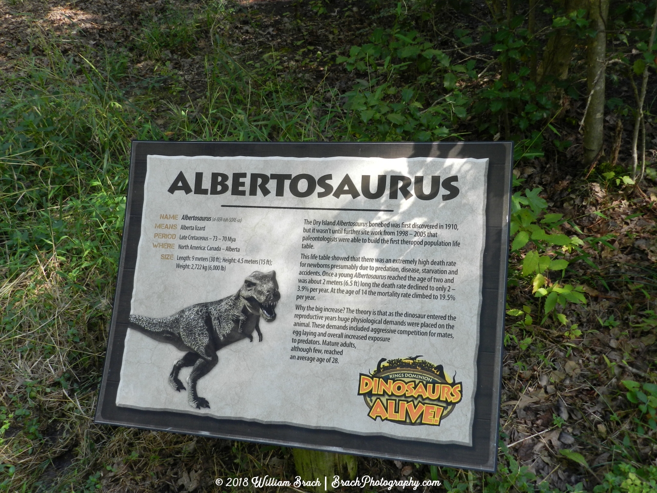 A different info sign for the Albertosaurus.