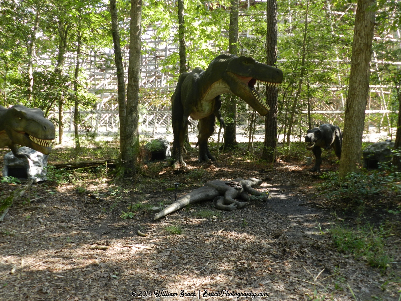 The Albertosaurus with a fresh kill.  Come on kids, we're eating dinner tonight!