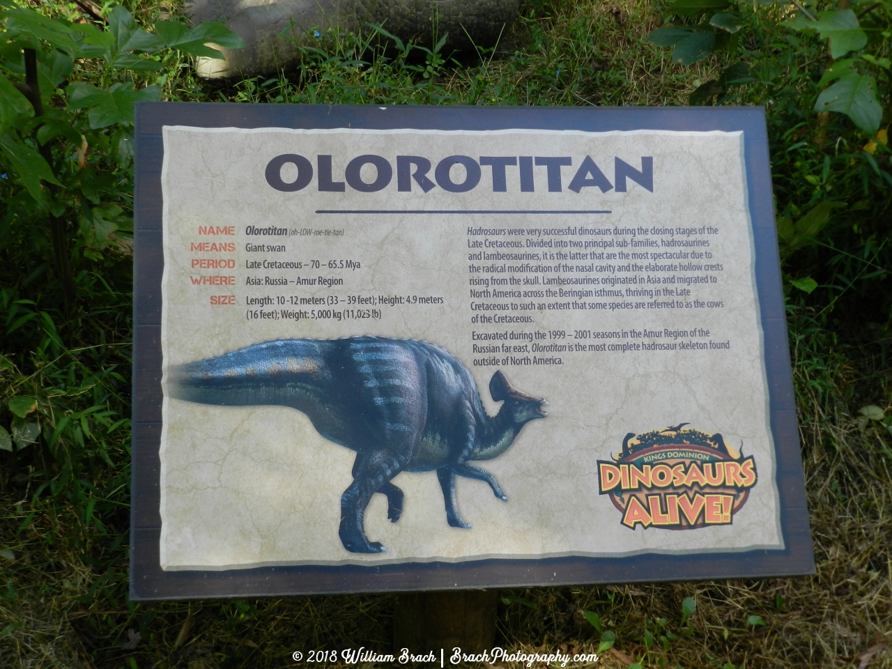 Info sign on the Olorotitan.