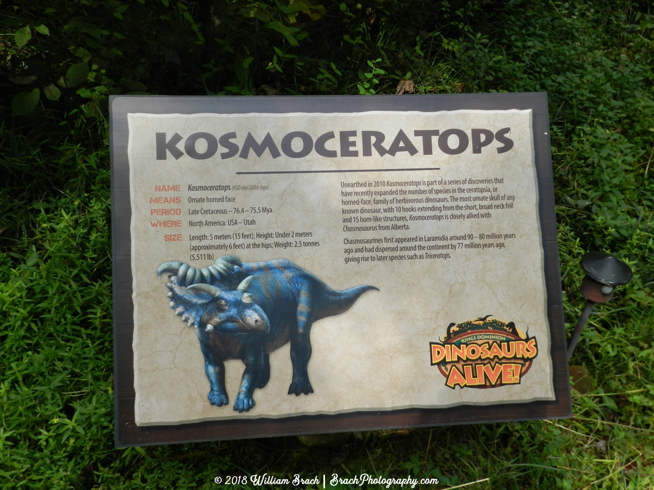 Info sign on the Kosmoceratops.