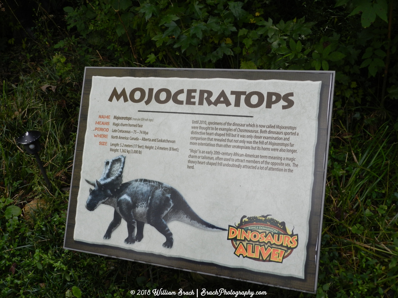 Info sign on the Mojoceratops.