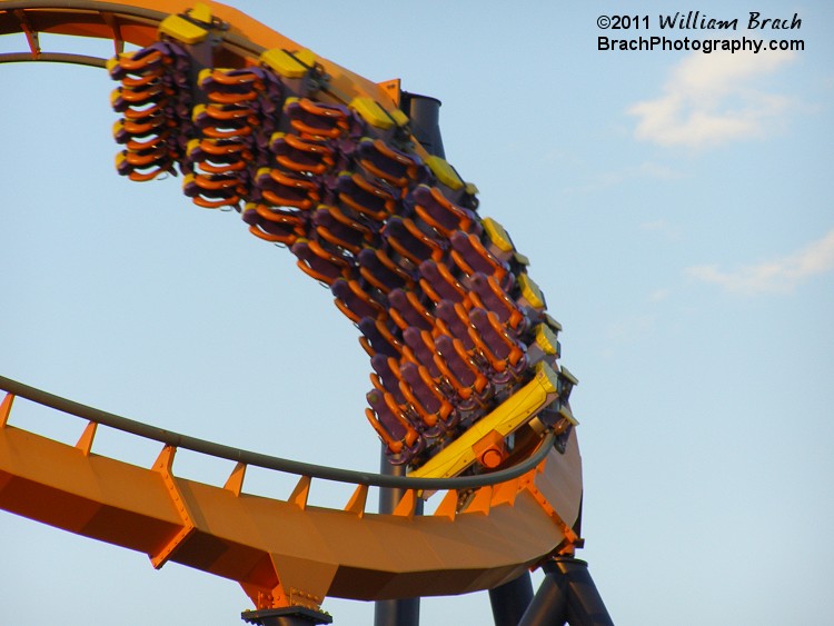 Dominator train going through the cobra roll.