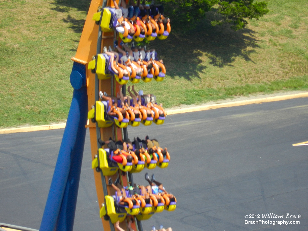 Dominator train running through the cobra roll.