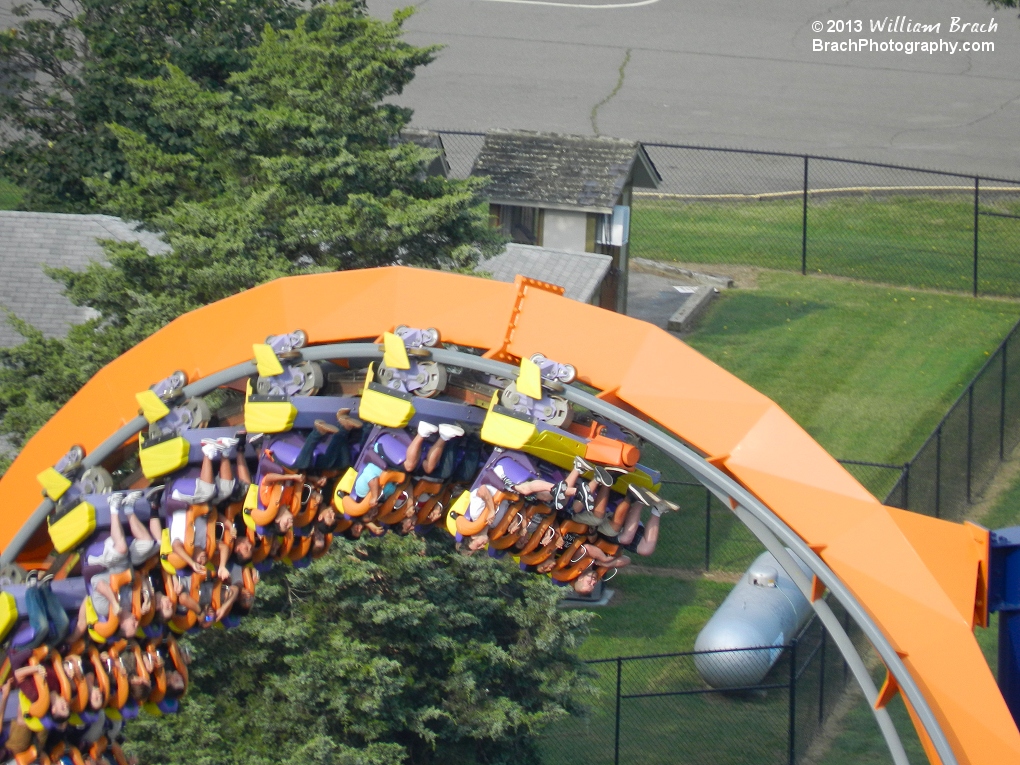 Dominator taking its riders upside down.