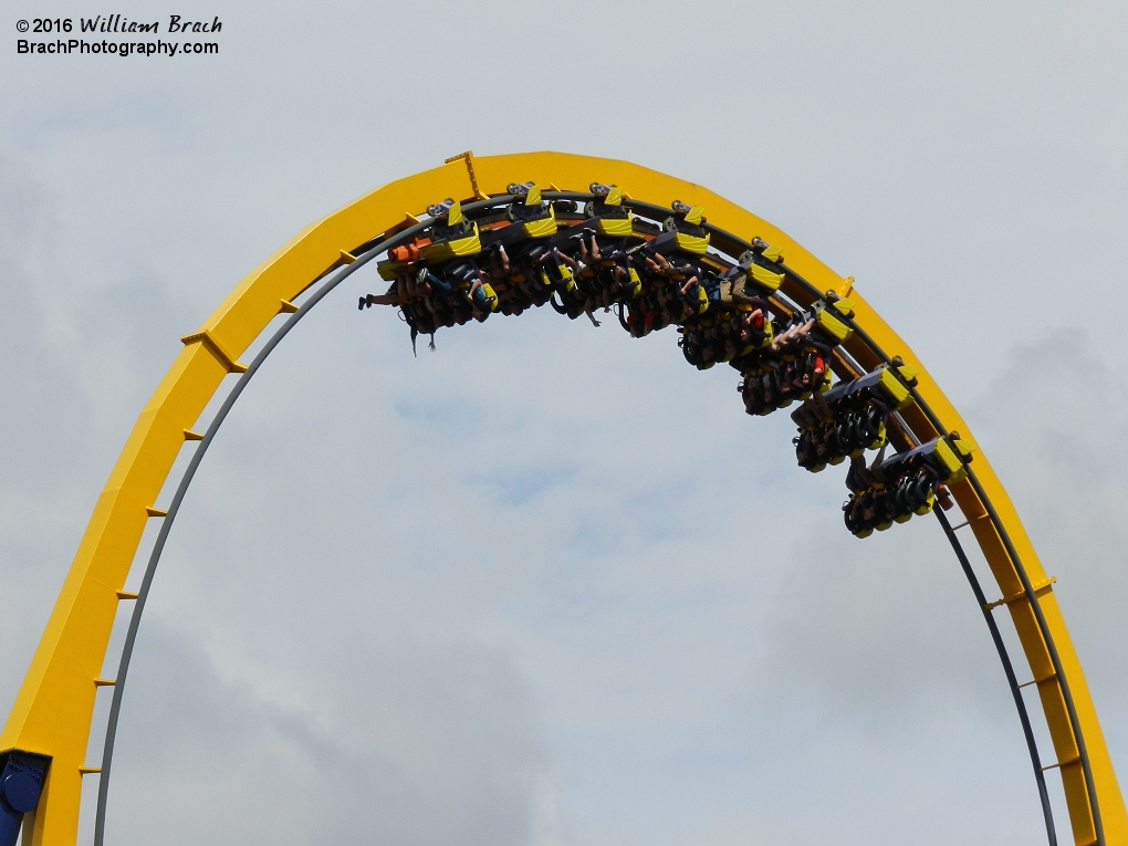 Loaded train going through the vertical loop.