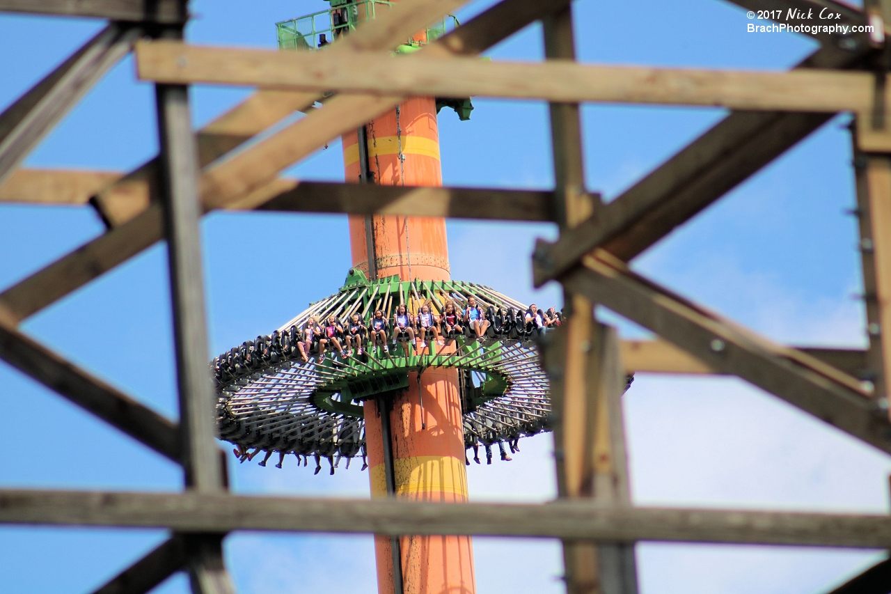 Drop Tower freefalling through the new wood of Twisted Timbers.