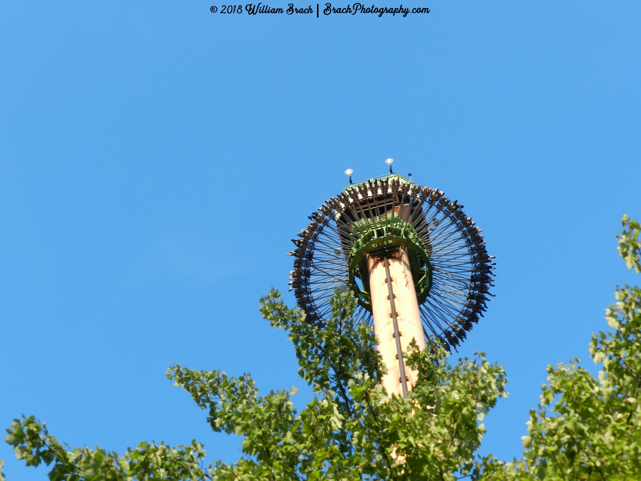 Drop Tower at the top ready to drop riders.