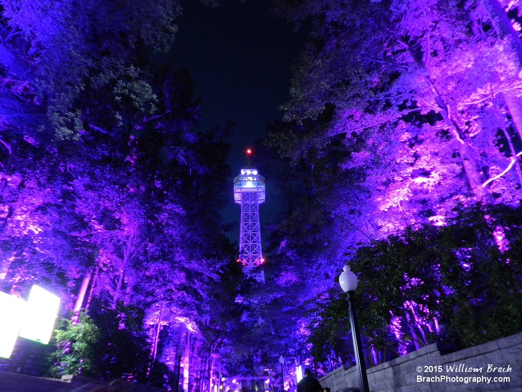 The Eiffel Tower lit up in purple lights.