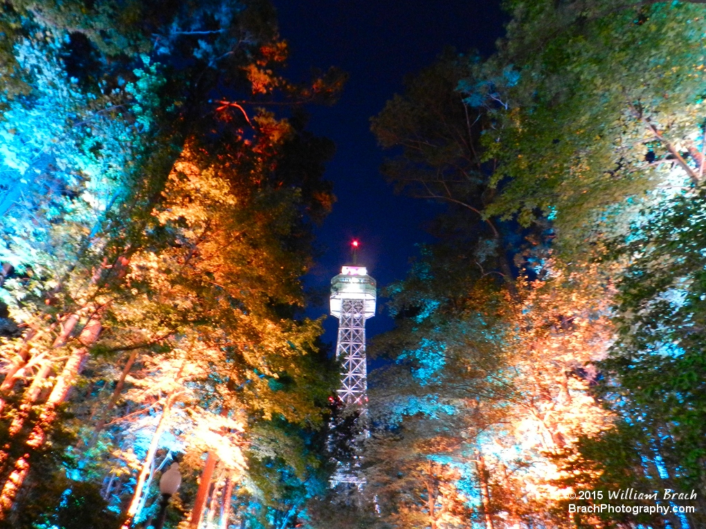 Multi colored lights lighting up the trees and the Eiffel Tower.