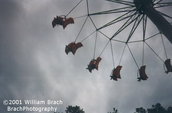 Watching the Flying Ace from the ground on a cloudy day.