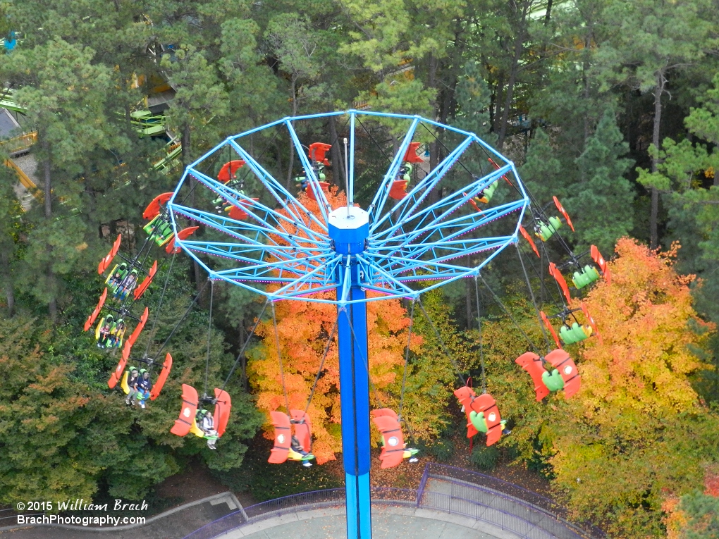 Flying Ace in motion.  Love how bright orange those trees are behind the ride.