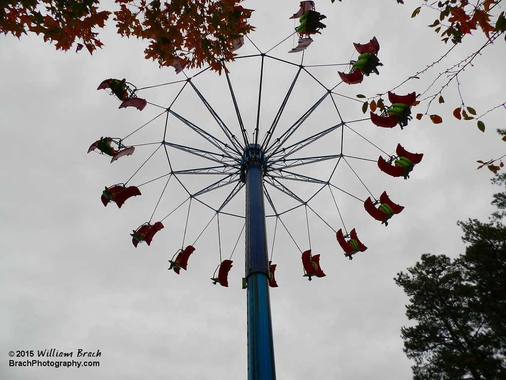 Looking up at Flying Ace from the queue line.